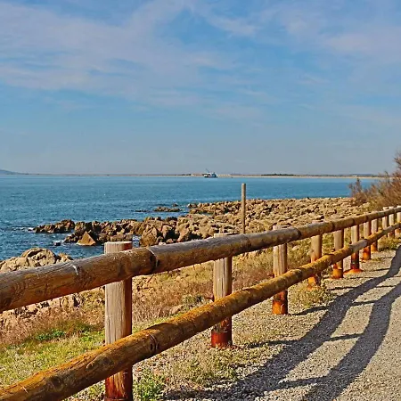 Climatise Avec Terrasse Et Vue Mer, Parking - Fr-1-472a-194 Appartement *